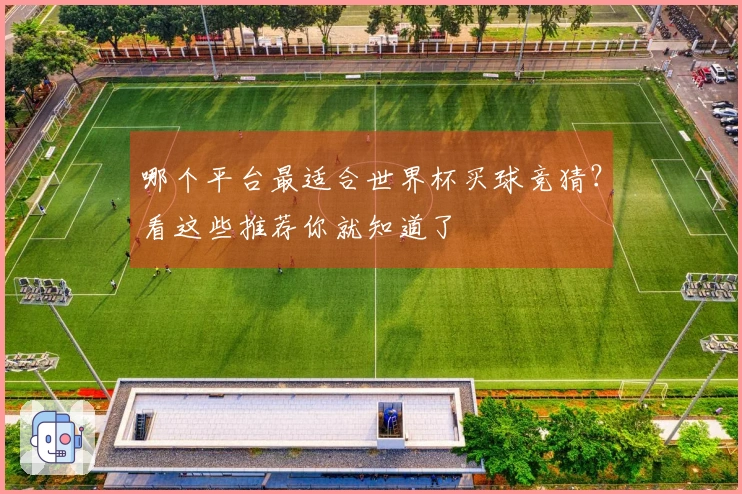 哪个平台最适合世界杯买球竞猜？看这些推荐你就知道了