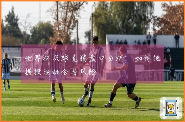 世界杯买球竞猜盘口分析：如何把握投注机会与风险