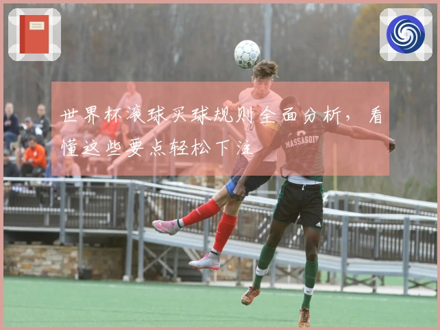 世界杯滚球买球规则全面分析，看懂这些要点轻松下注
