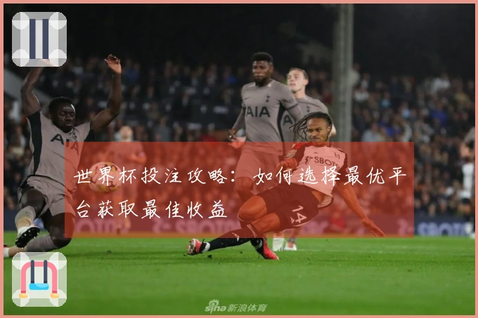 世界杯投注攻略：如何选择最优平台获取最佳收益