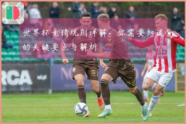 世界杯竞猜规则详解，你需要知道的关键要点与解析