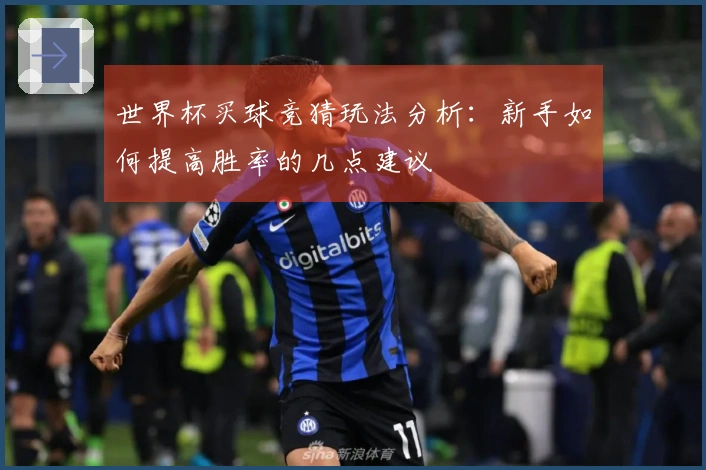 世界杯买球竞猜玩法分析：新手如何提高胜率的几点建议