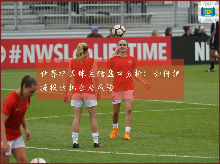 世界杯买球竞猜盘口分析：如何把握投注机会与风险