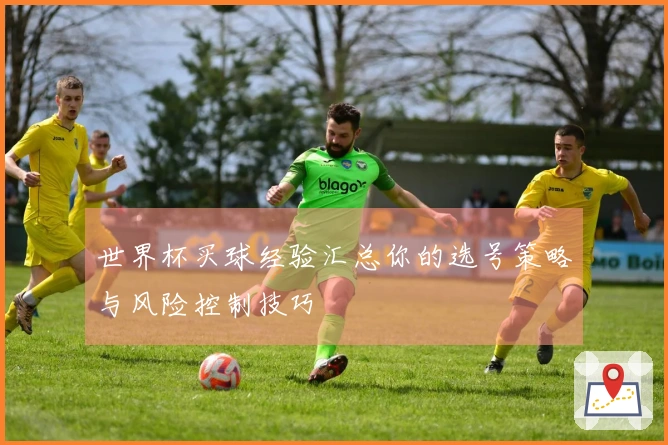 世界杯买球经验汇总你的选号策略与风险控制技巧