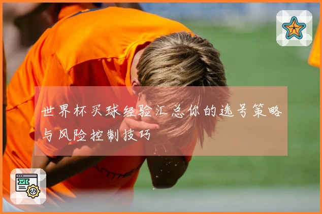 世界杯买球经验汇总你的选号策略与风险控制技巧