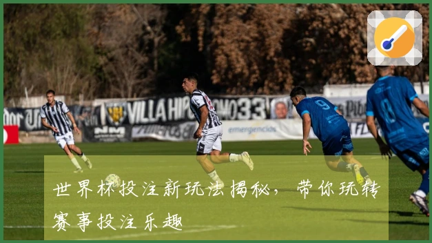 世界杯投注新玩法揭秘，带你玩转赛事投注乐趣