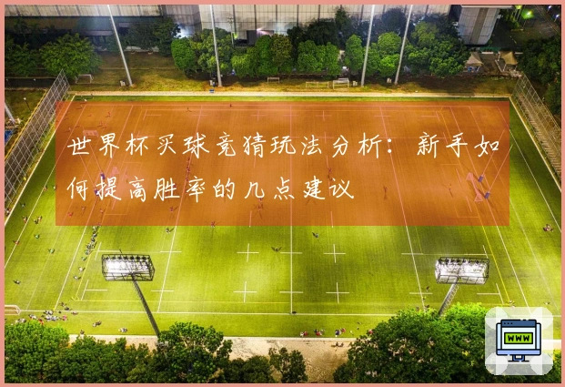 世界杯买球竞猜玩法分析：新手如何提高胜率的几点建议