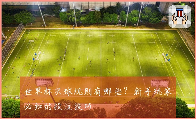 世界杯买球规则有哪些？新手玩家必知的投注技巧