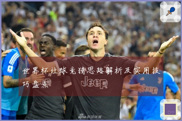 世界杯让球竞猜思路解析及实用技巧盘点
