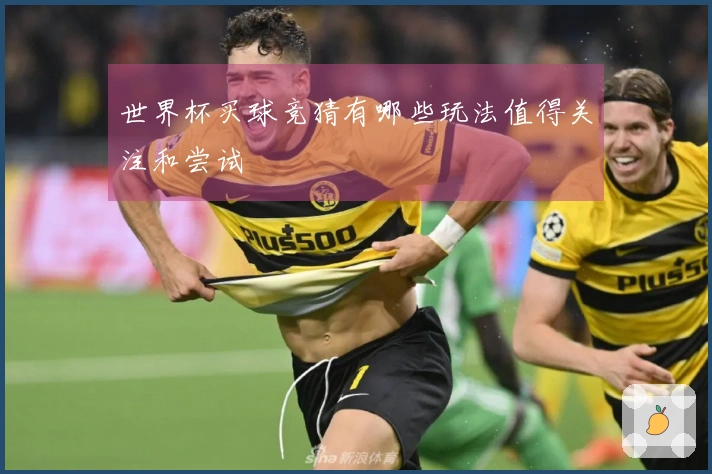 世界杯买球竞猜有哪些玩法值得关注和尝试