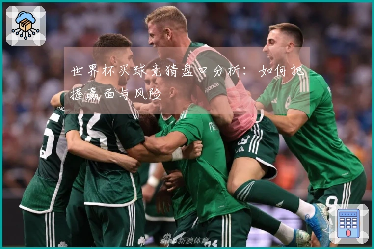 世界杯买球竞猜盘口分析：如何把握赢面与风险