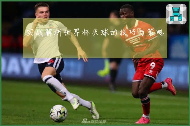 实战解析世界杯买球的技巧与策略
