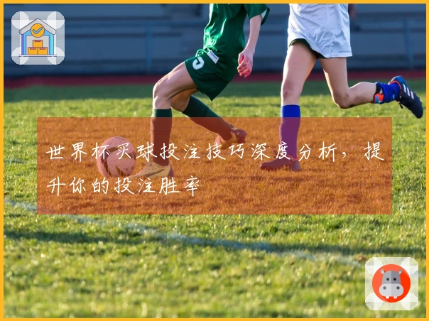 世界杯买球投注技巧深度分析，提升你的投注胜率
