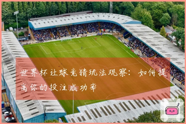 世界杯让球竞猜玩法观察：如何提高你的投注成功率