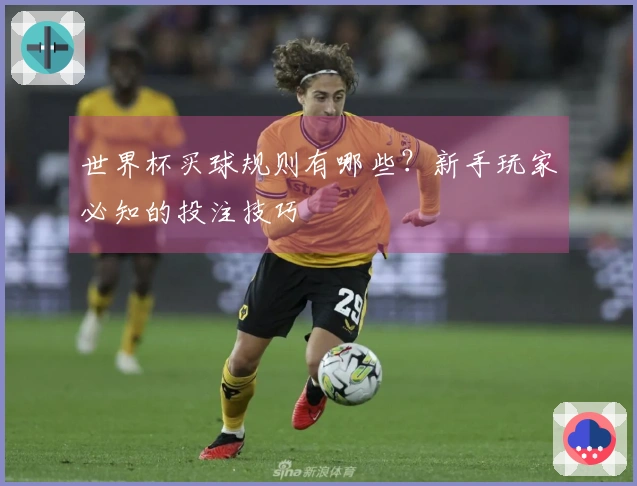 世界杯买球规则有哪些？新手玩家必知的投注技巧