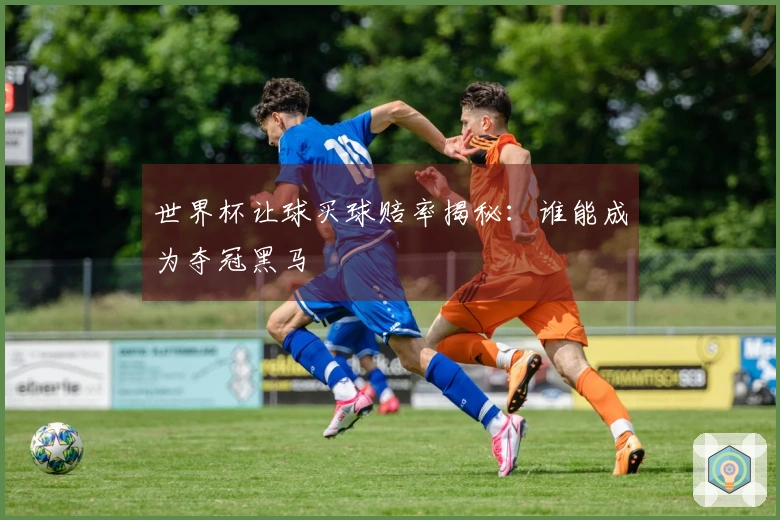 世界杯让球买球赔率揭秘：谁能成为夺冠黑马