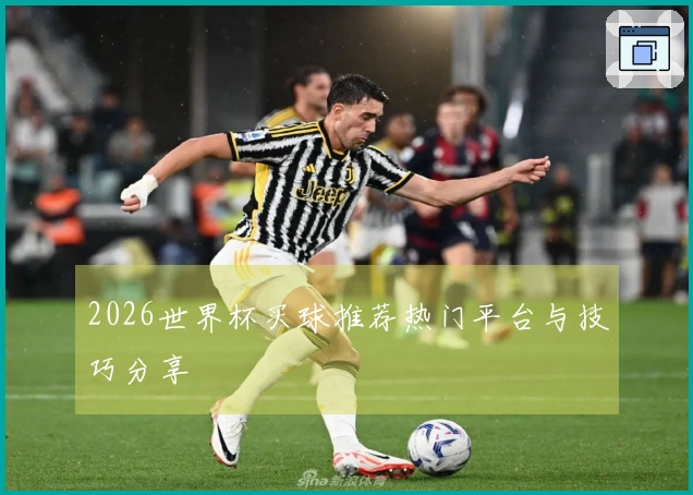 2026世界杯买球推荐热门平台与技巧分享