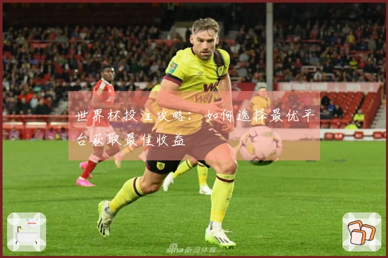 世界杯投注攻略：如何选择最优平台获取最佳收益